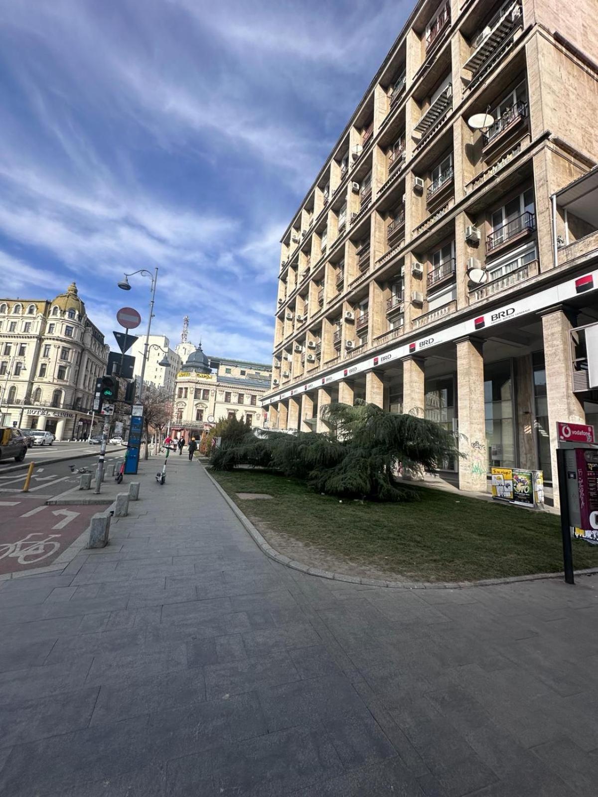 Downtown Studio Calea Victoriei Ultracentral Bukarest Exteriör bild